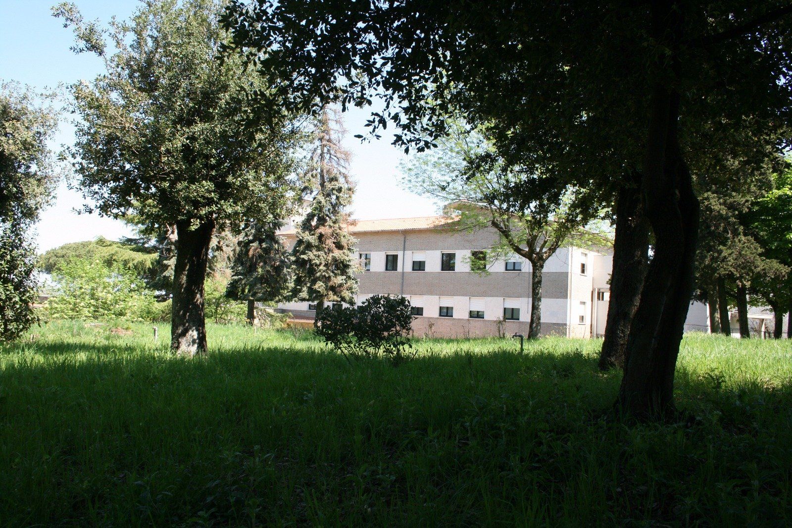 La struttura foto 10