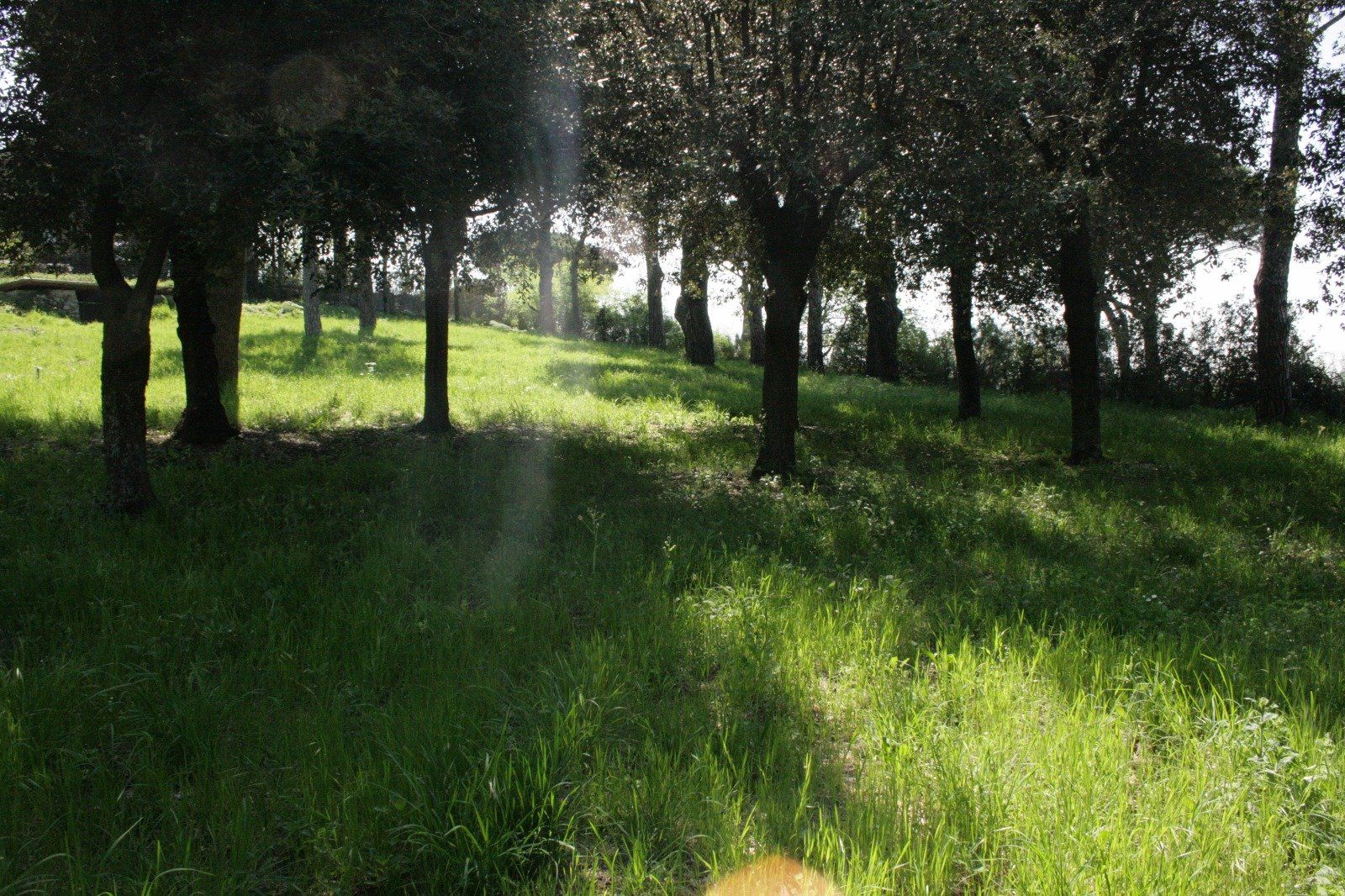 La struttura foto 19