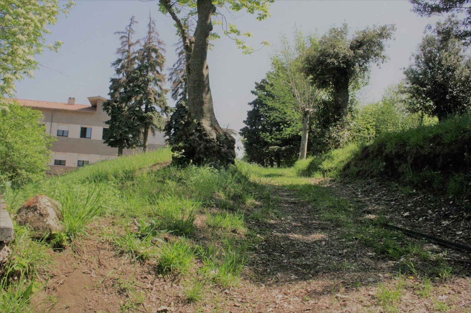 La struttura foto 18