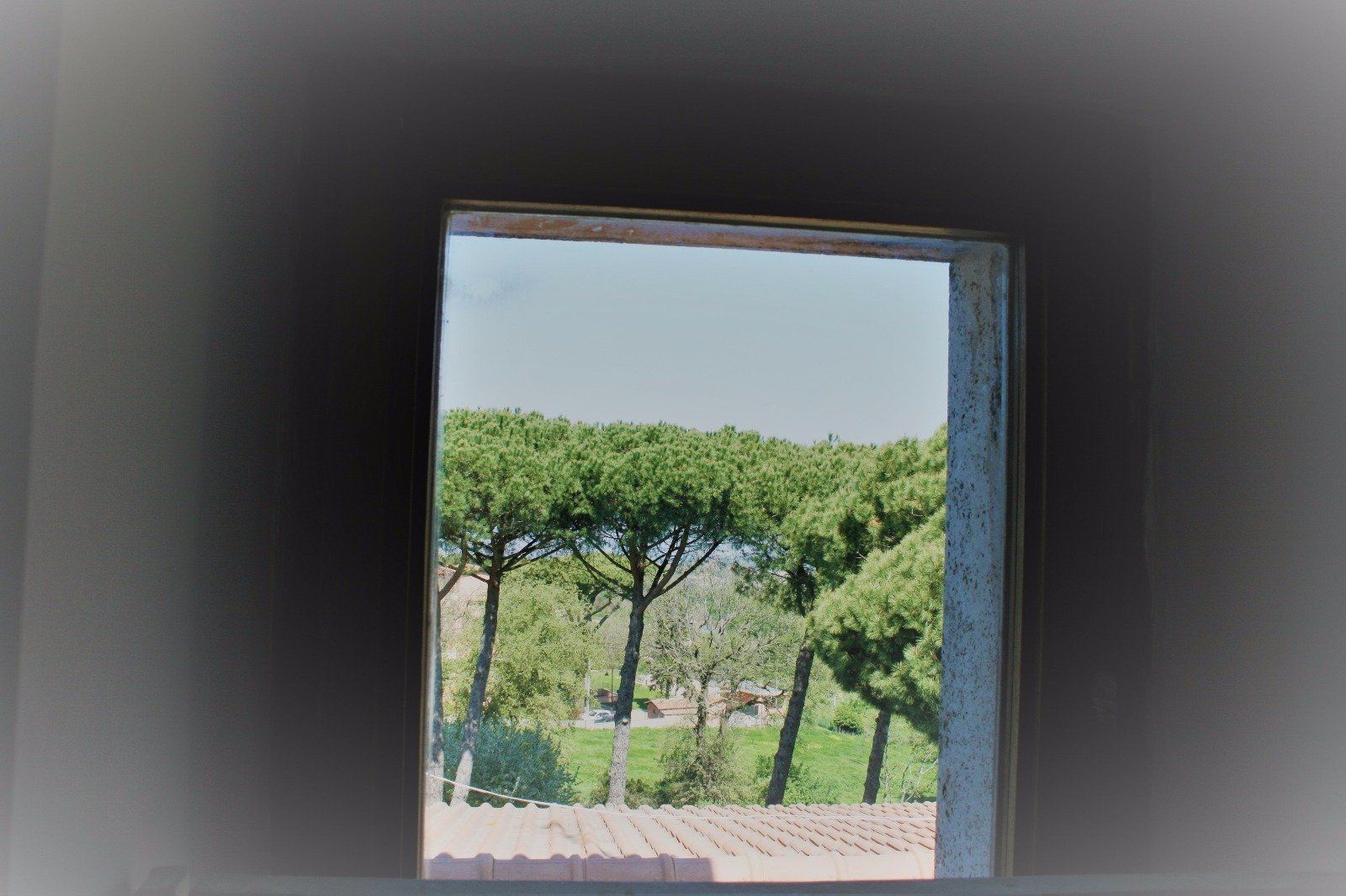 La struttura foto 17