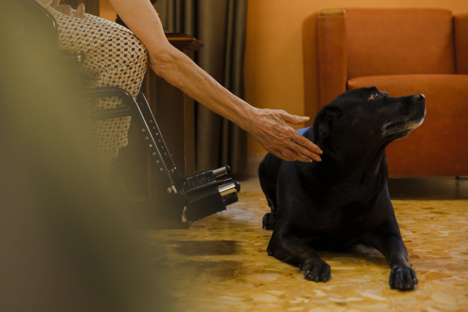 La struttura foto 48