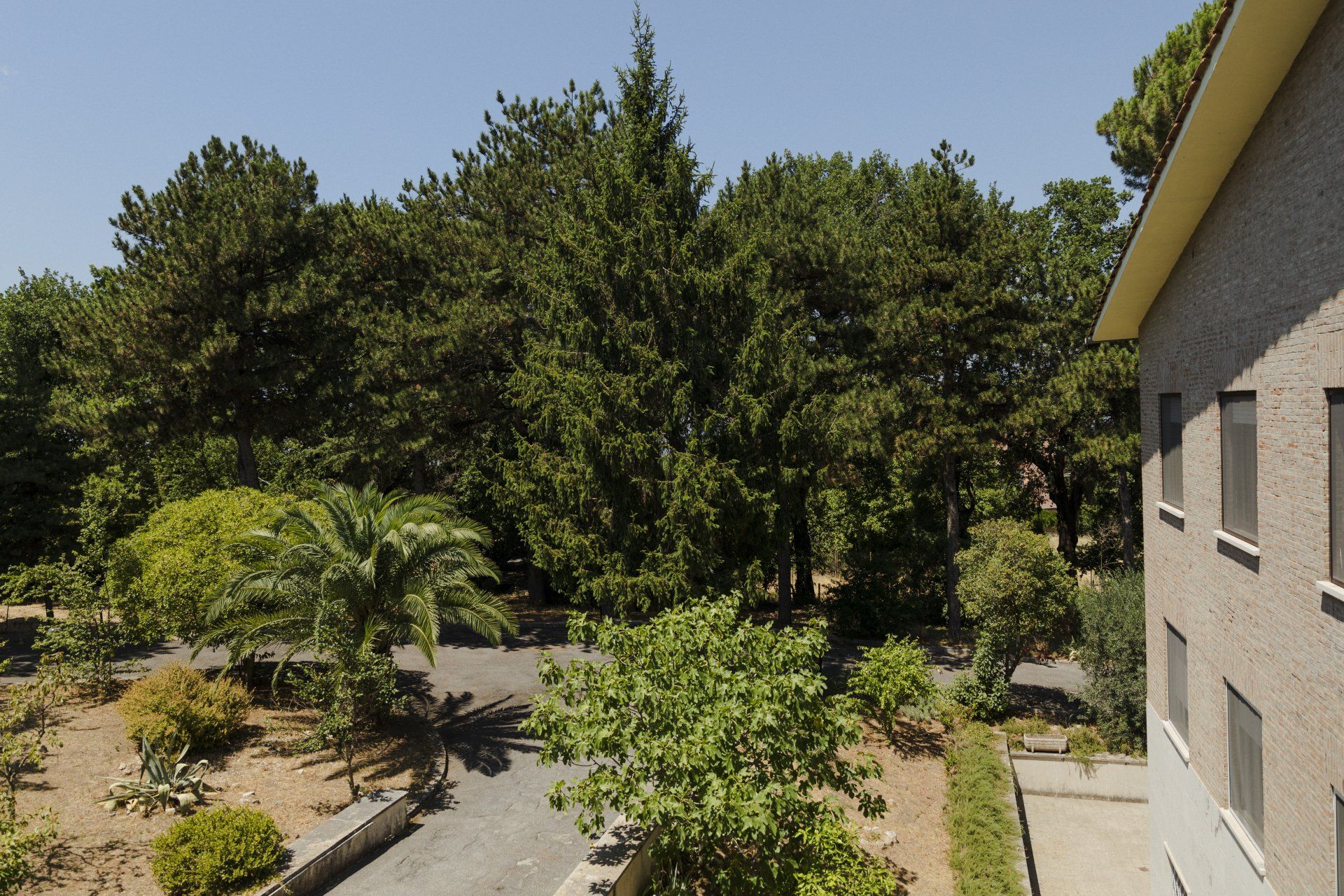 La struttura foto 44