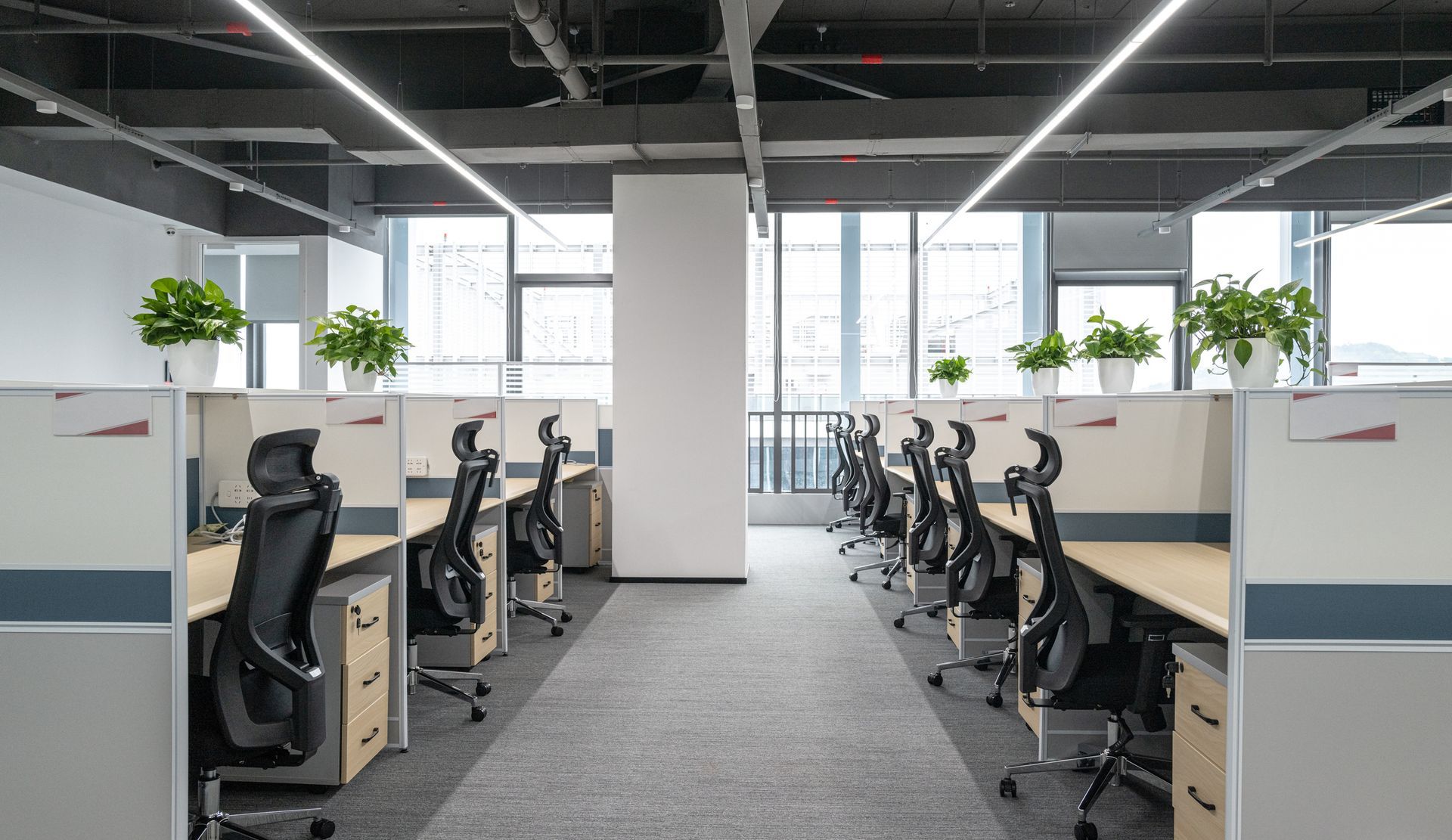 An empty office space with cubicles, chairs, and desks. There are windows, plants, and long overhead lights.