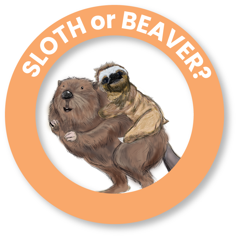 A sloth rides on the back of a beaver inside an orange circle with the text 