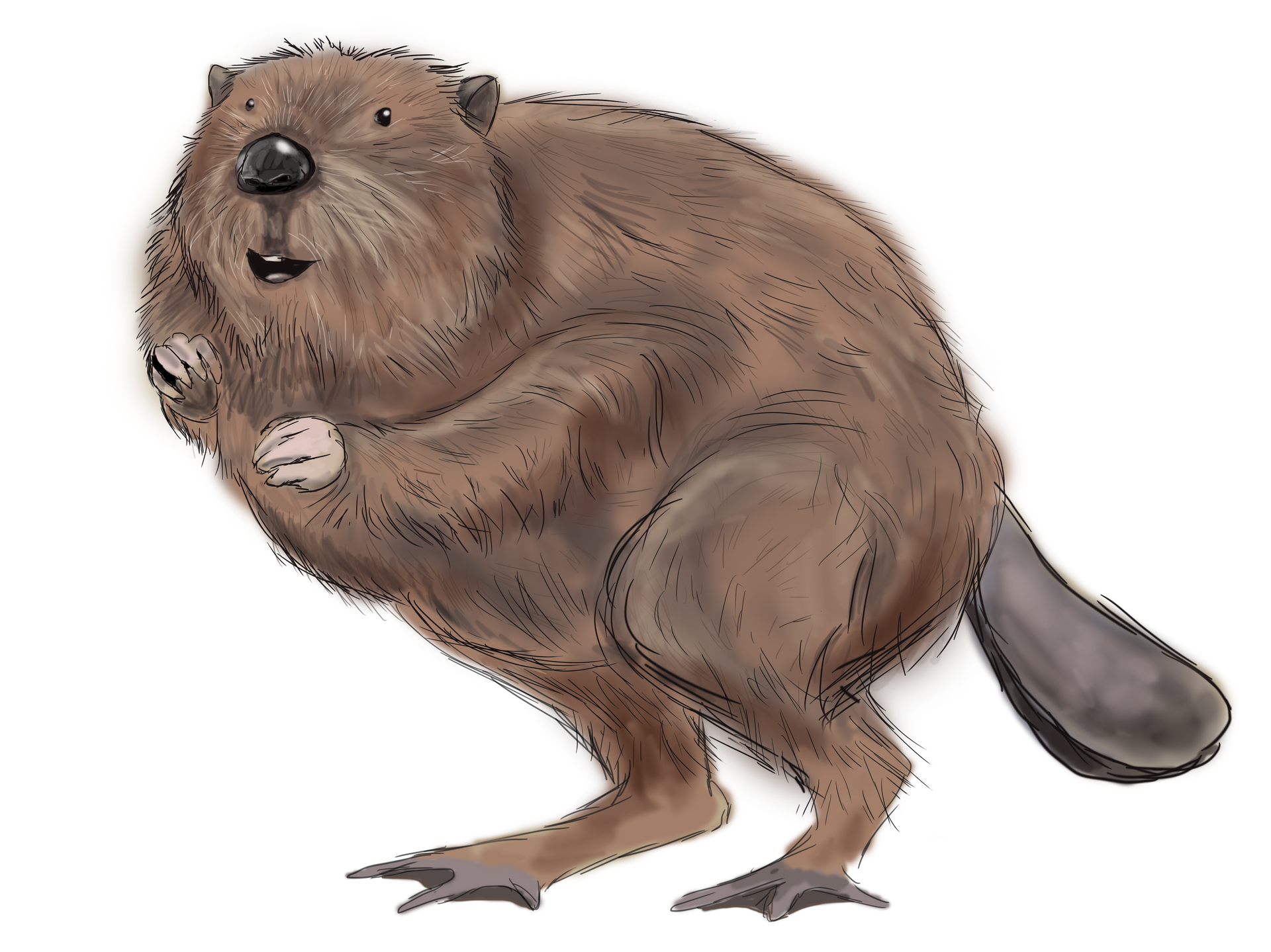 A pattern of leaves and butterflies on a gray background