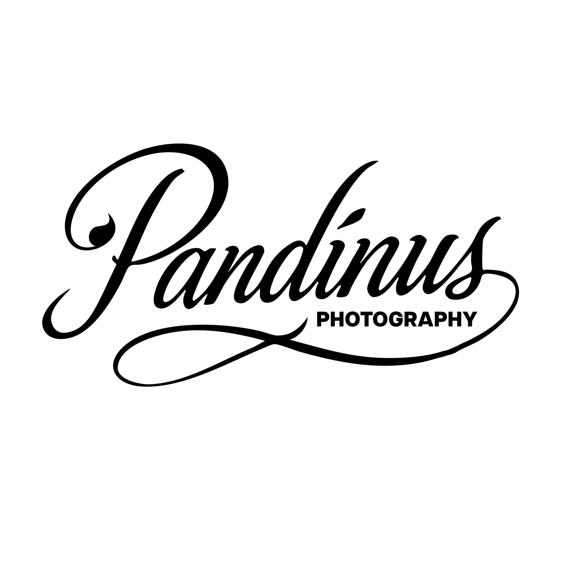 The logo for Pandinus Photography features the brand name in a black cursive script with 