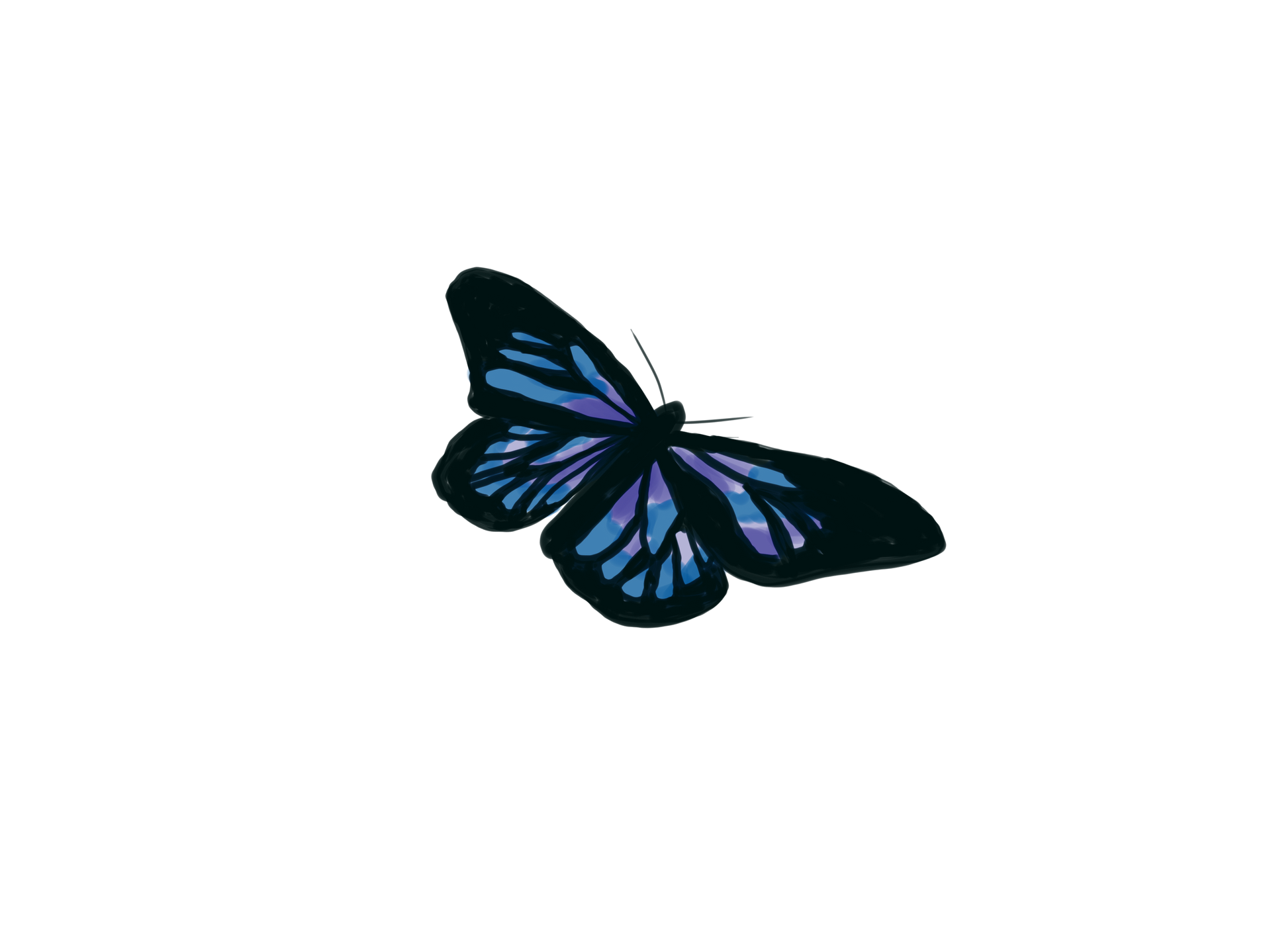 A butterfly with dark wings featuring blue and purple patterned veins, shown mid-flight against a white background.