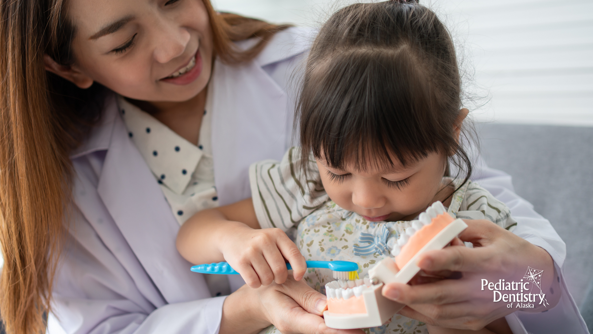 A dentist is teaching a little girl how to brush her teeth.