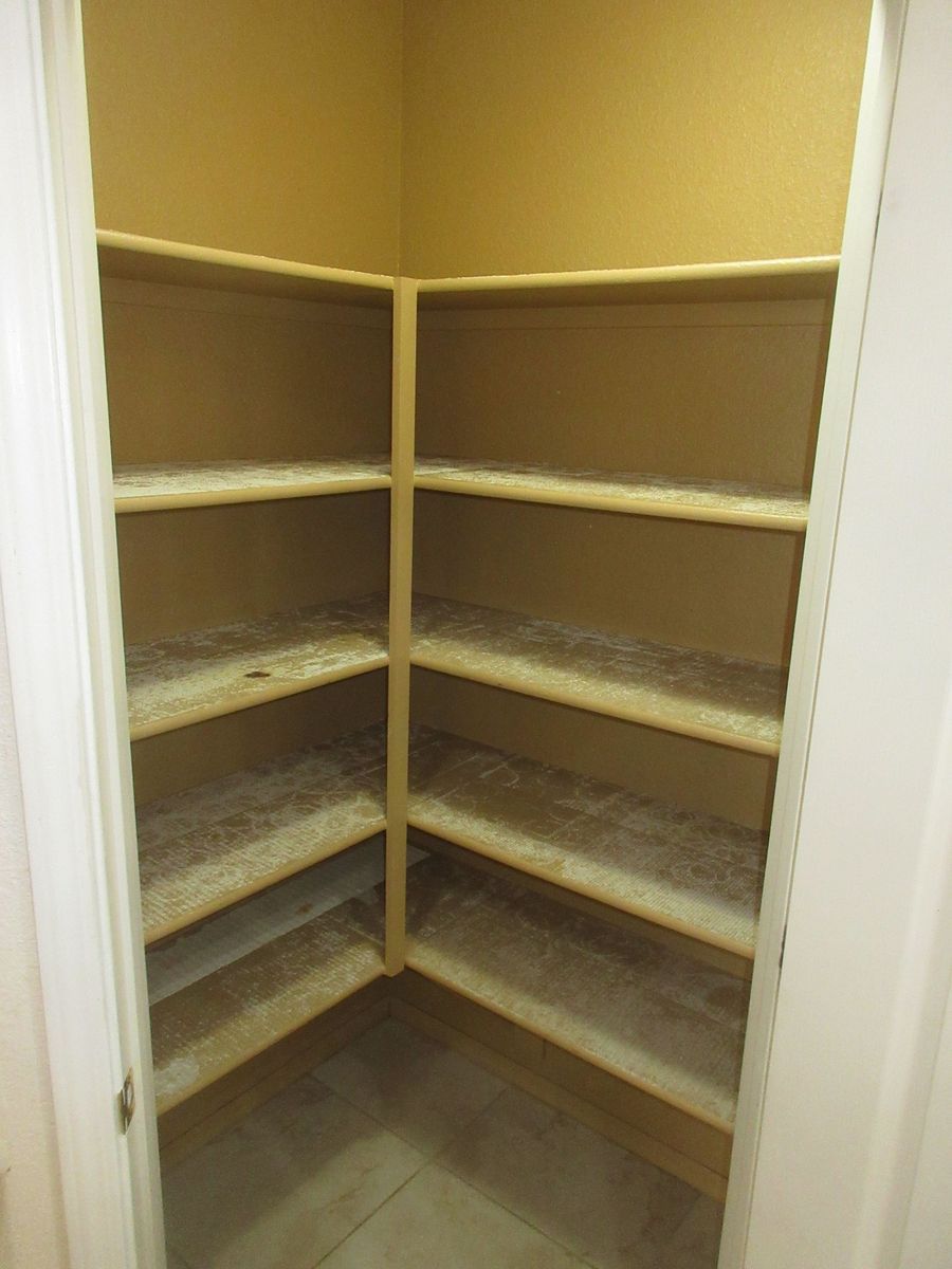 Empty pantry with corner shelves covered in dust.