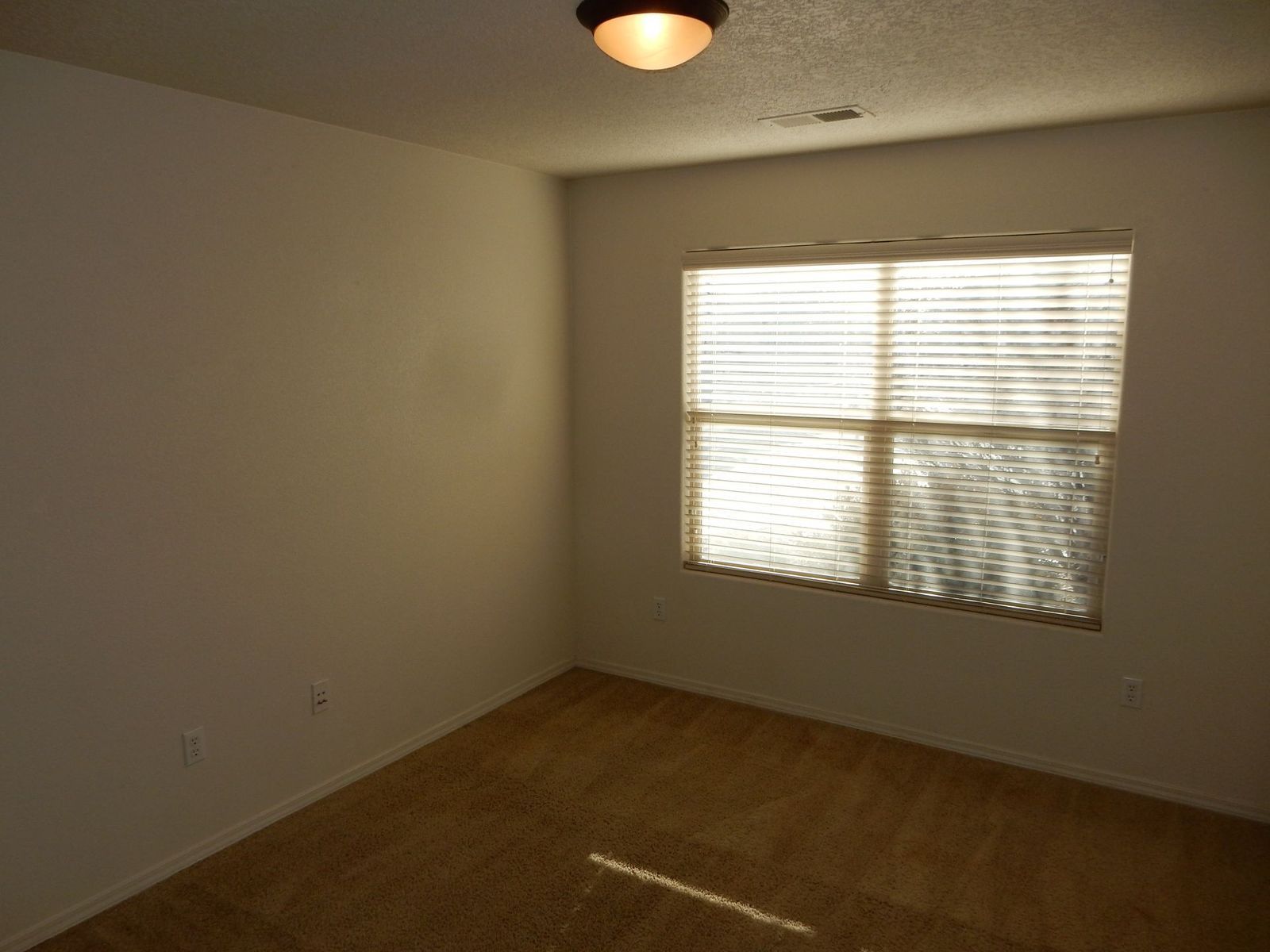 Empty room with tan carpet, a window with blinds, and a ceiling light.