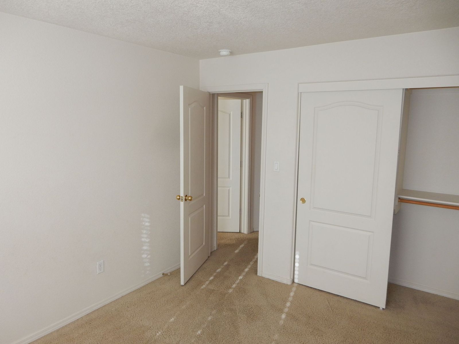 Empty room with three white doors, one open to a hallway, and beige carpet.