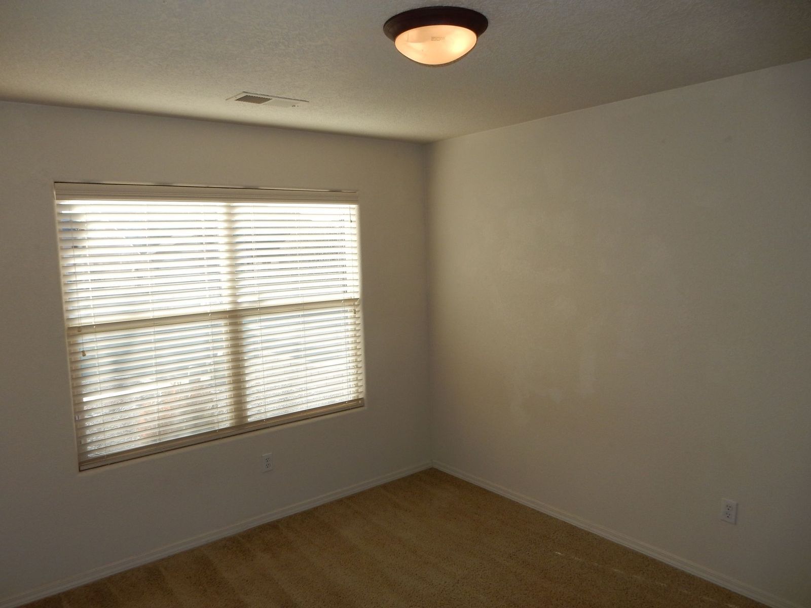 Empty room with window, blinds, and a ceiling light. Beige carpet and white walls.