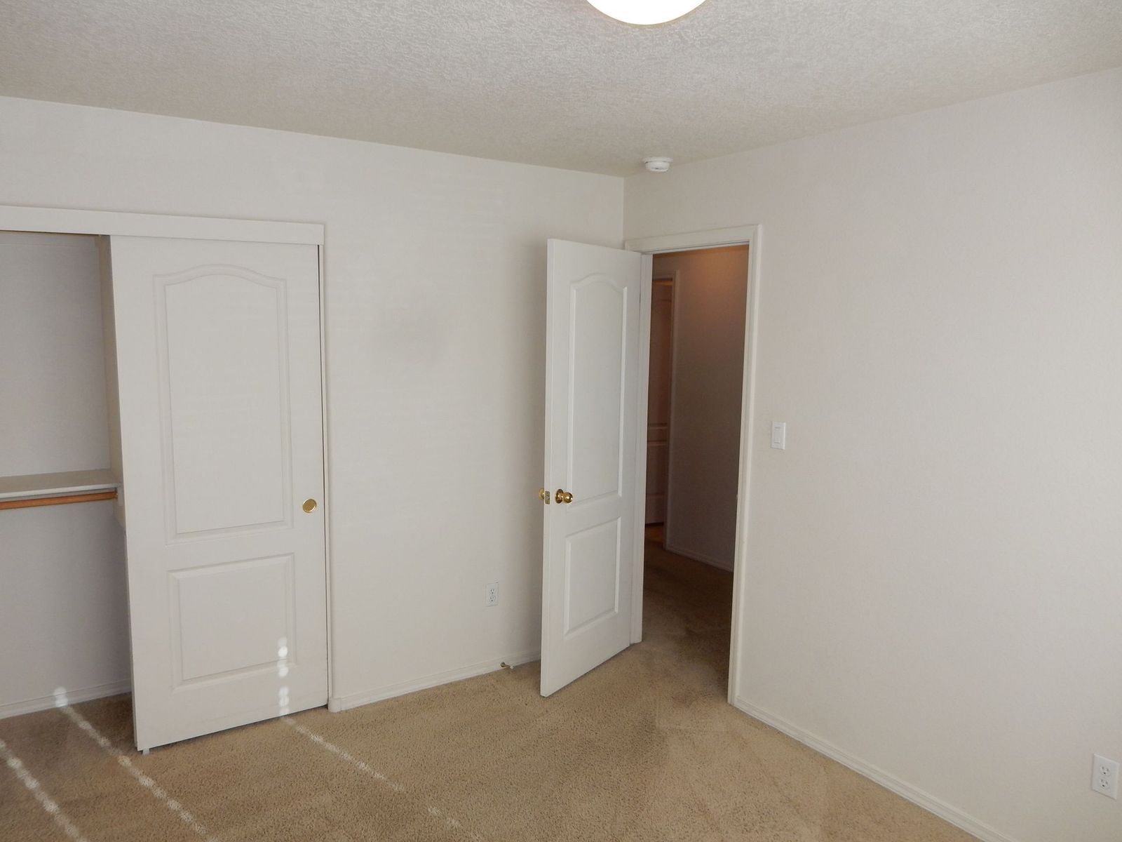 Empty room with white walls, carpet, two white doors, one leading to a closet, and another open to a hallway.
