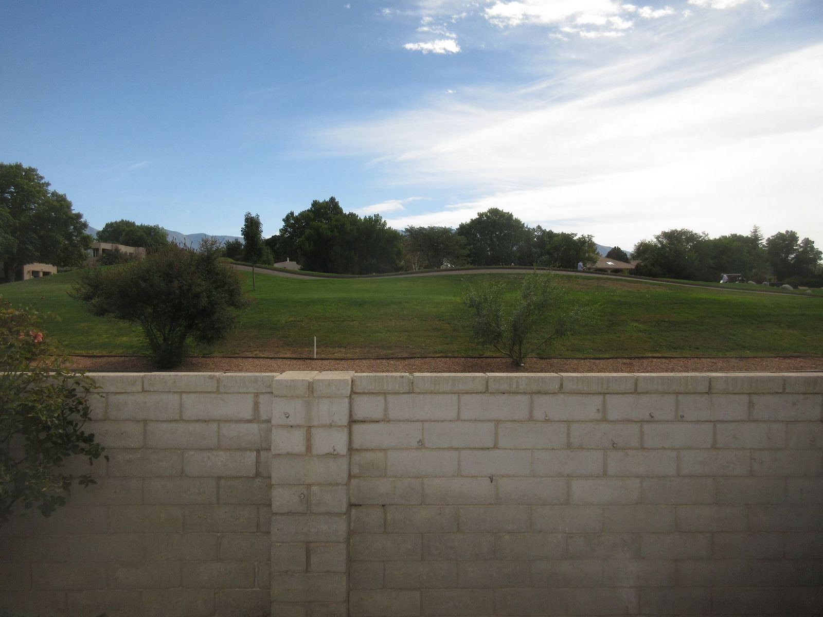 A grassy hillside with trees under a blue sky, viewed from behind a light-colored brick wall.