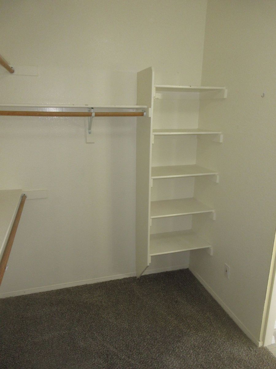 Closet interior with white shelves and rod. Dark carpet, white walls.