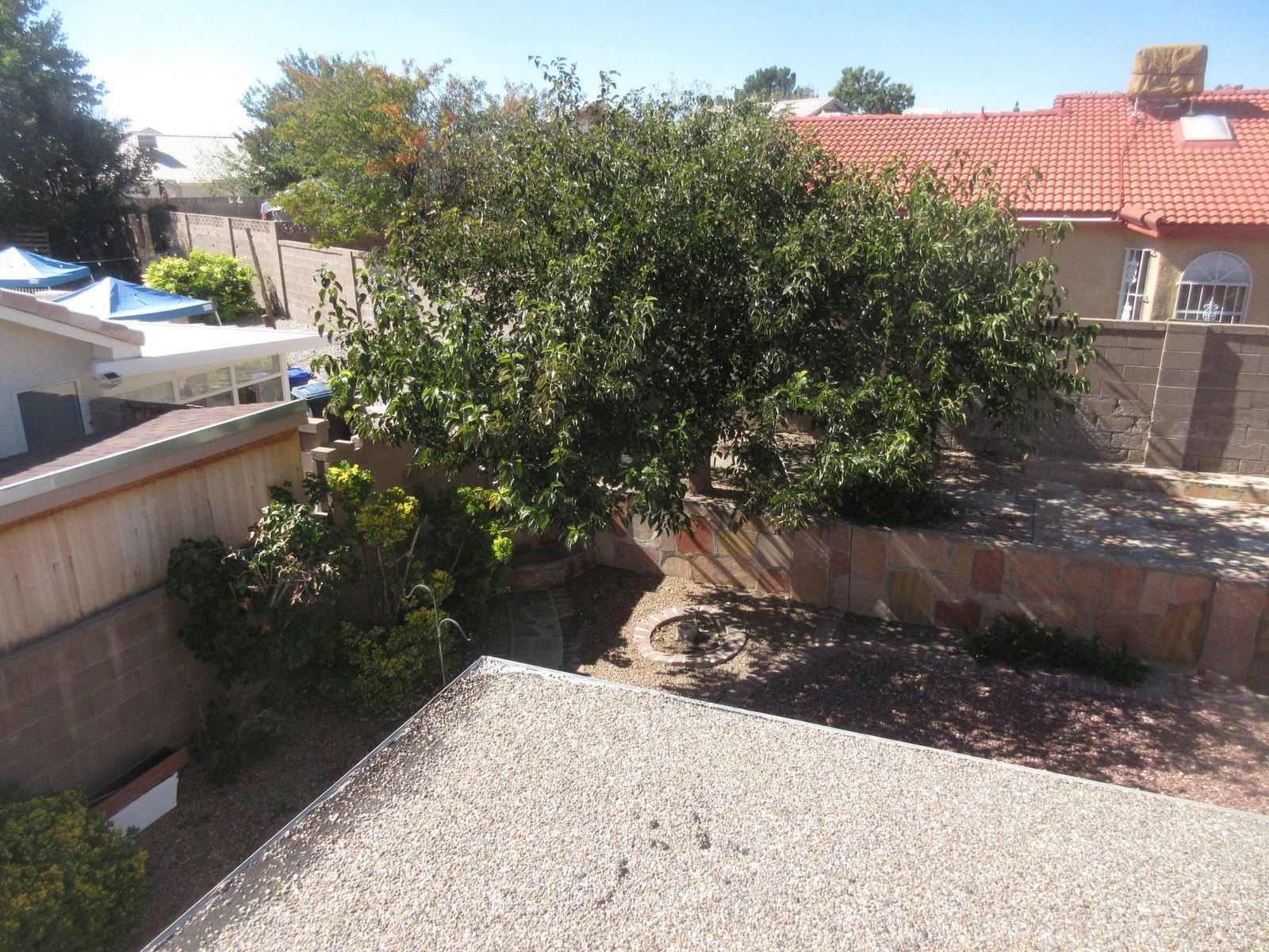 Backyard view: tree, dirt, gravel, fences, rooftops, and clear sky.