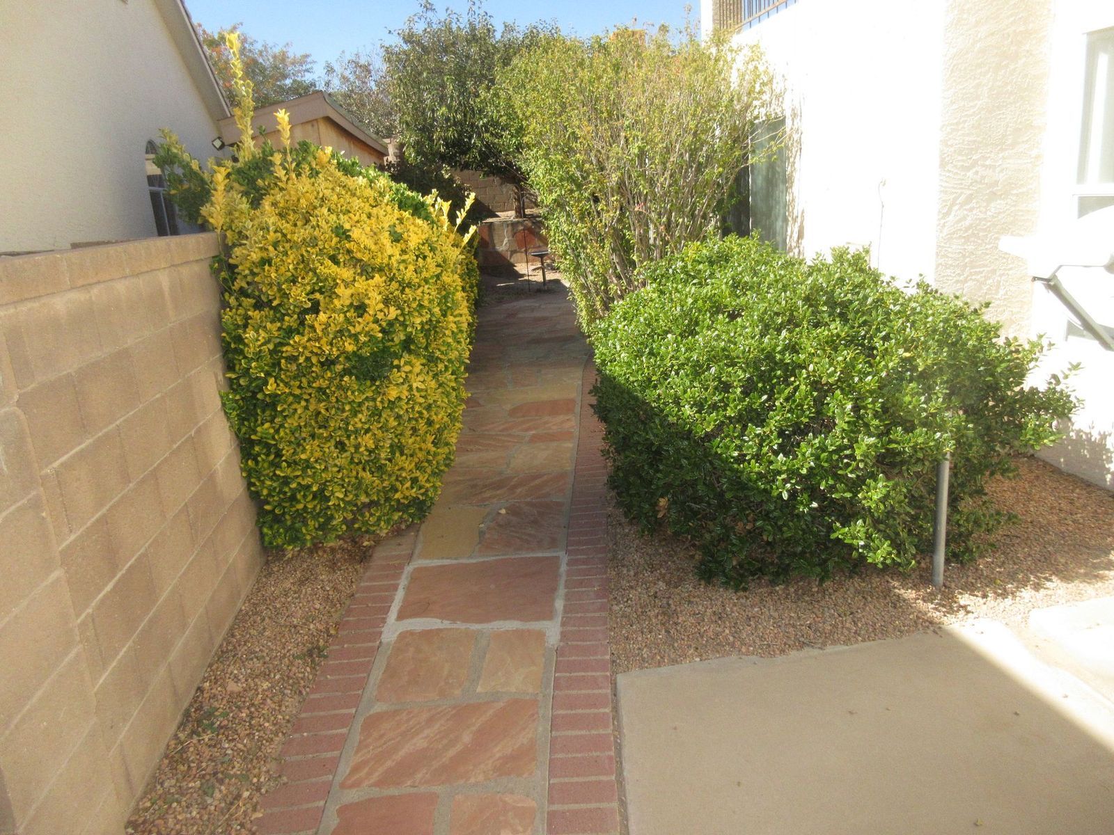 Brick pathway lined with bushes and a tan wall, leading towards the back of a building.