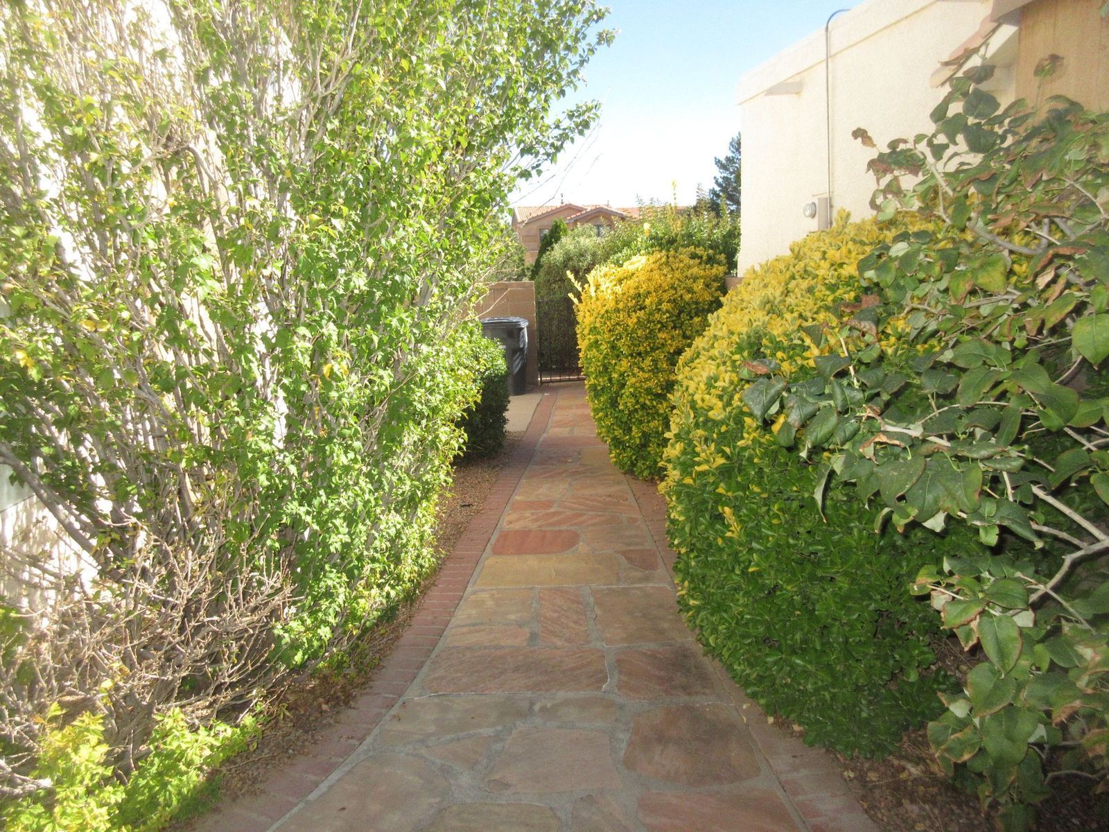 Narrow stone walkway bordered by green and yellow bushes, leading to an arched opening.