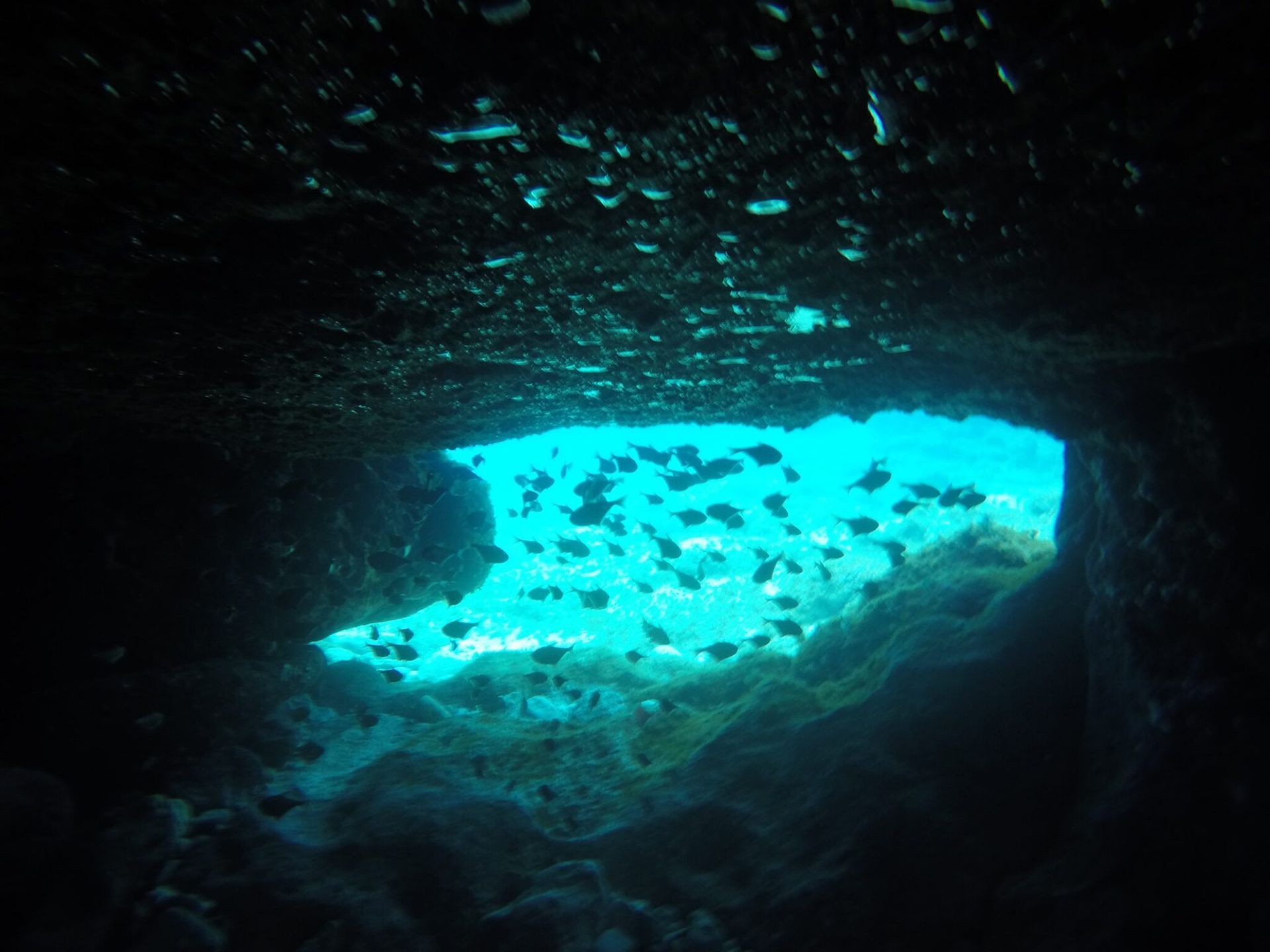 Caves & Tunnels