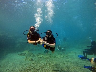 <p class="rteBlock">Amazing facilities, easily the best in the island; Will and his team are superb and even offer first class apartments for clubs. Does own fills and highly trusted, thanks for a great time. @puppydog987</p>