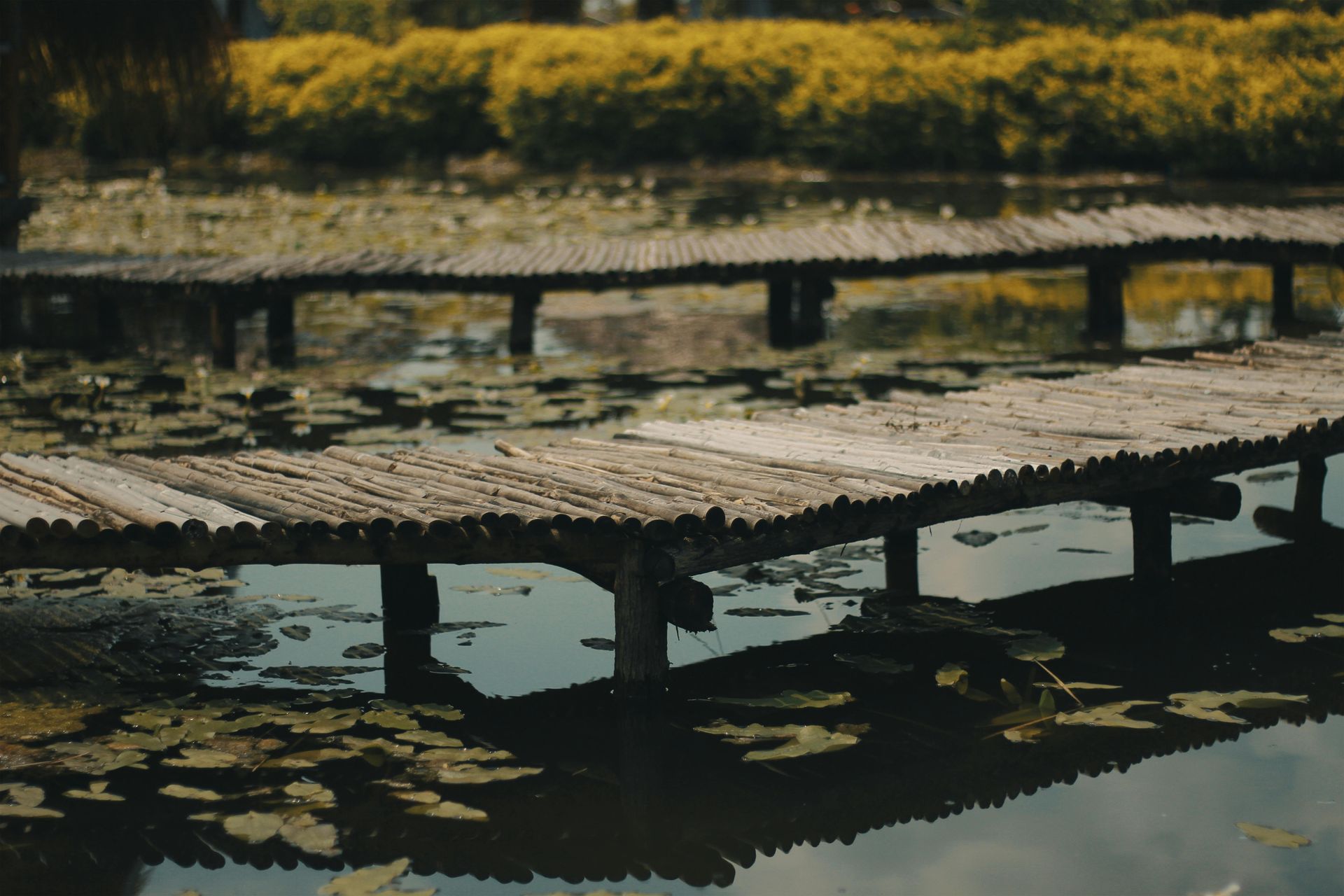 A wooden bridge over a pond with lily pads.