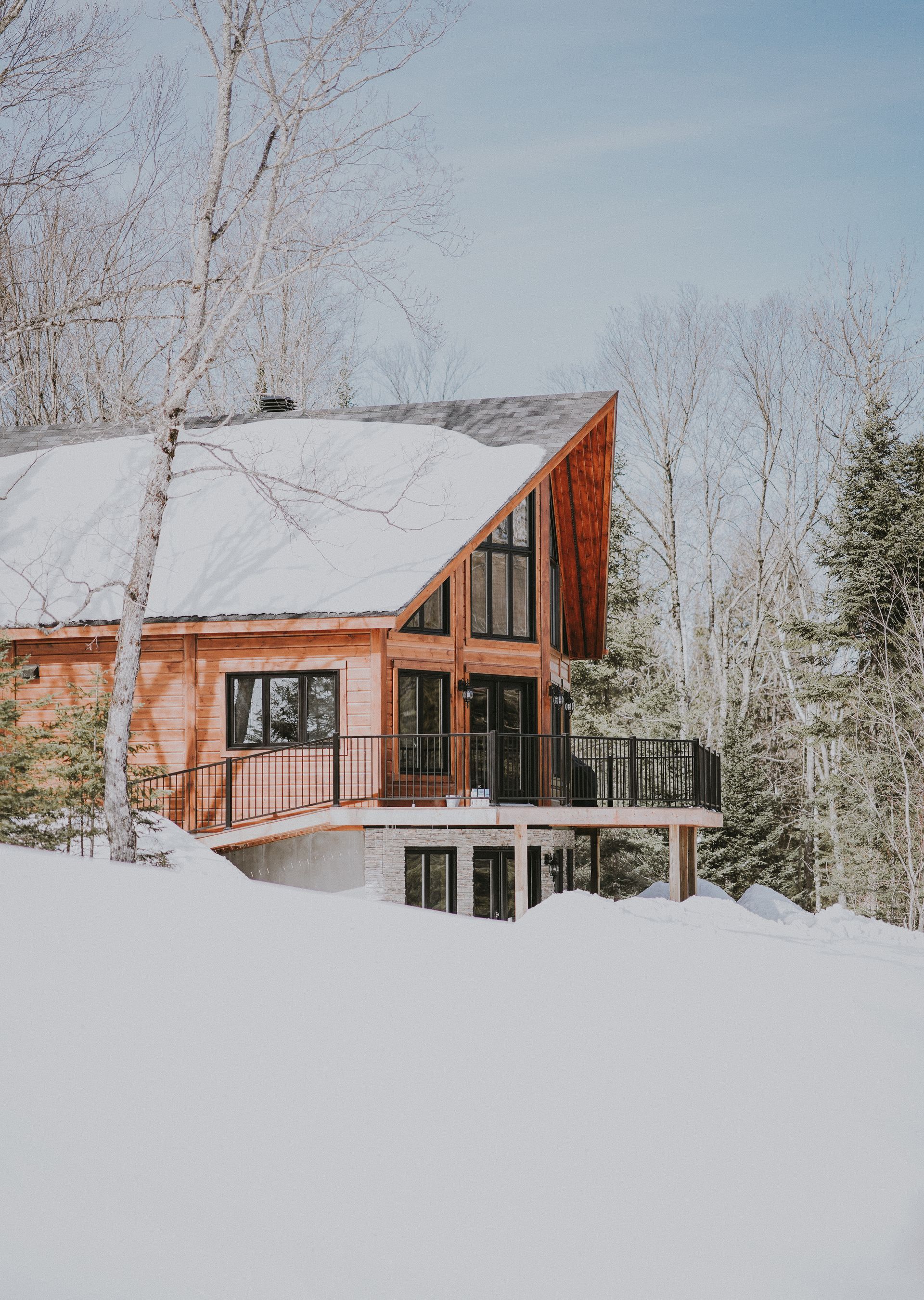 A large wooden house in the middle of a snowy forest.
