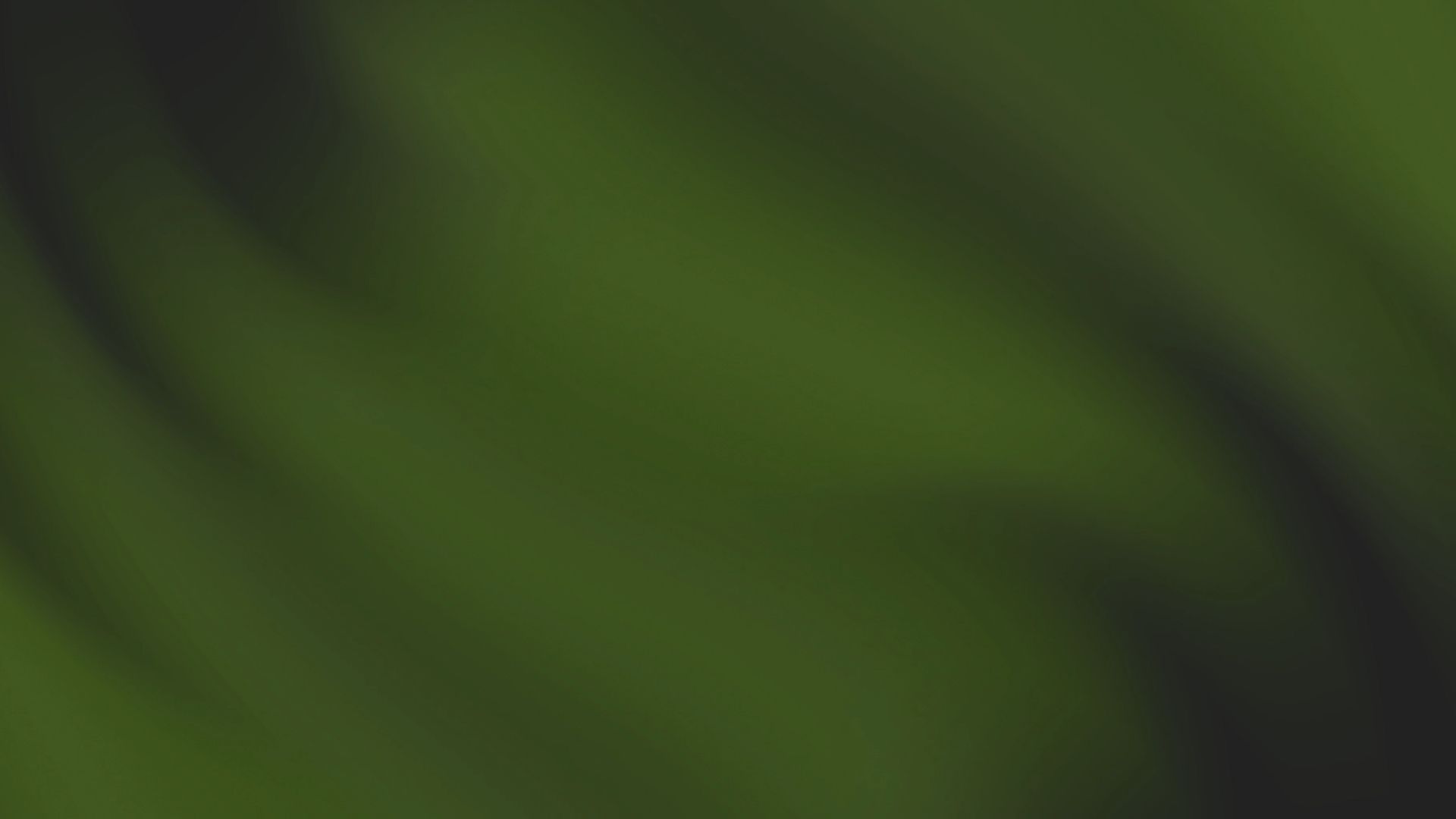 Blurred green background with dark diagonal streaks.