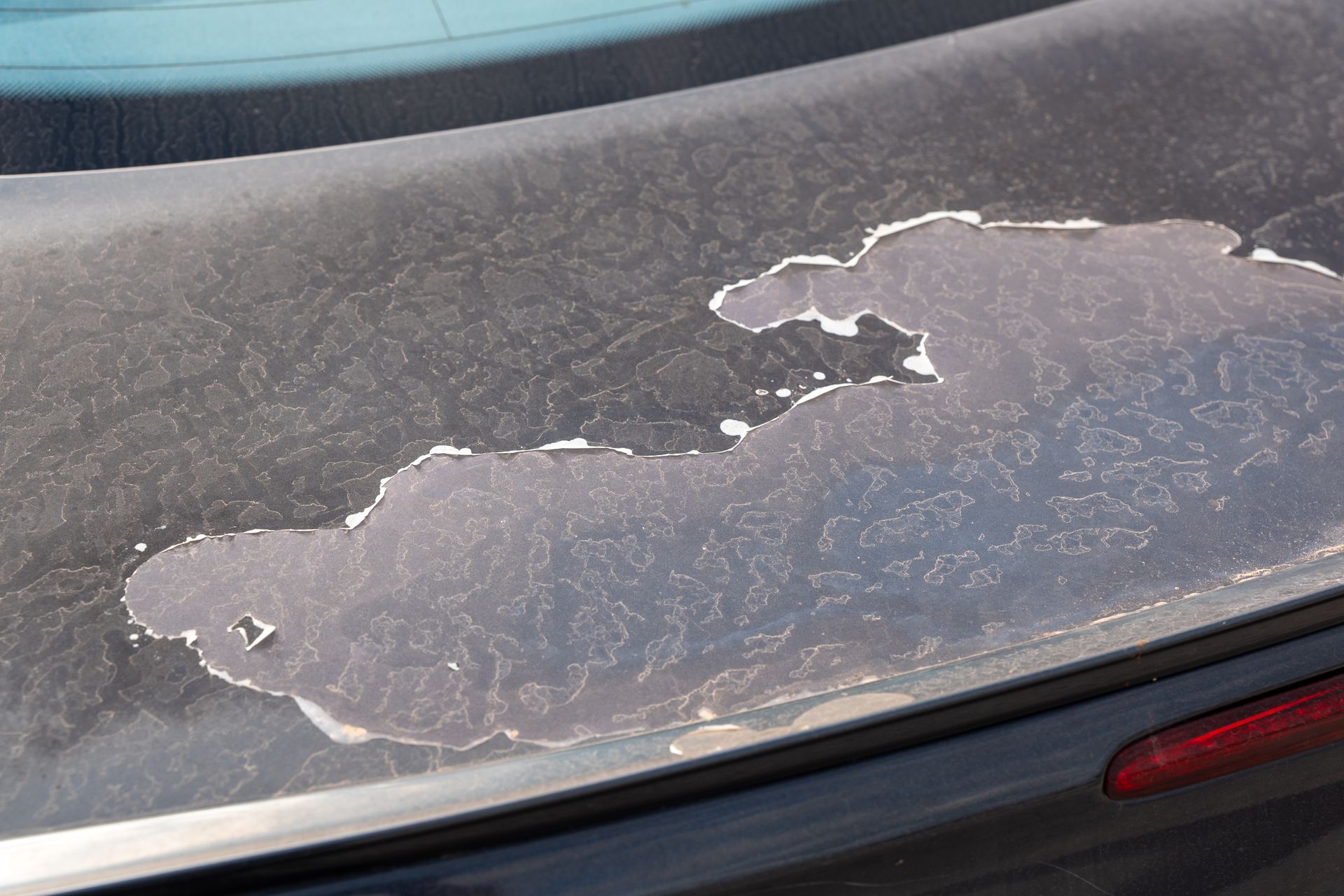 Peeling top coat on the trunk of a dark-colored car, revealing the underlying powder coat.