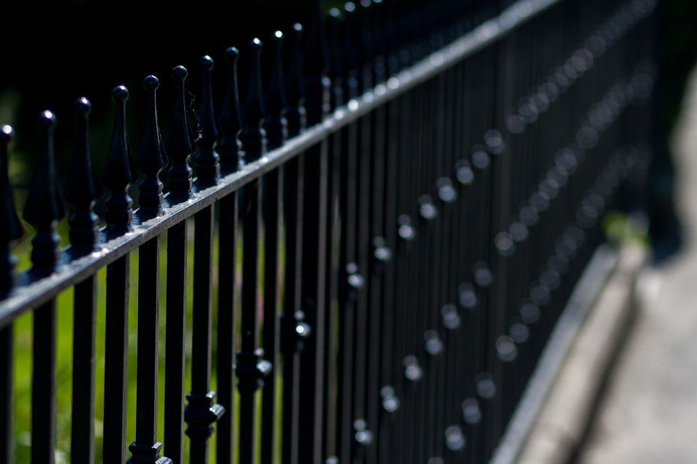 A close up of a black metal fence with a blurred background.