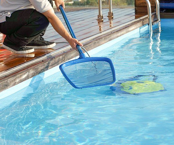 Man Cleaning Swimming Pool — Holiday Coast Pools in Coffs Harbour, NSW