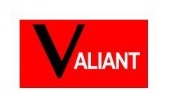 A red and black logo with the word valiant on it.