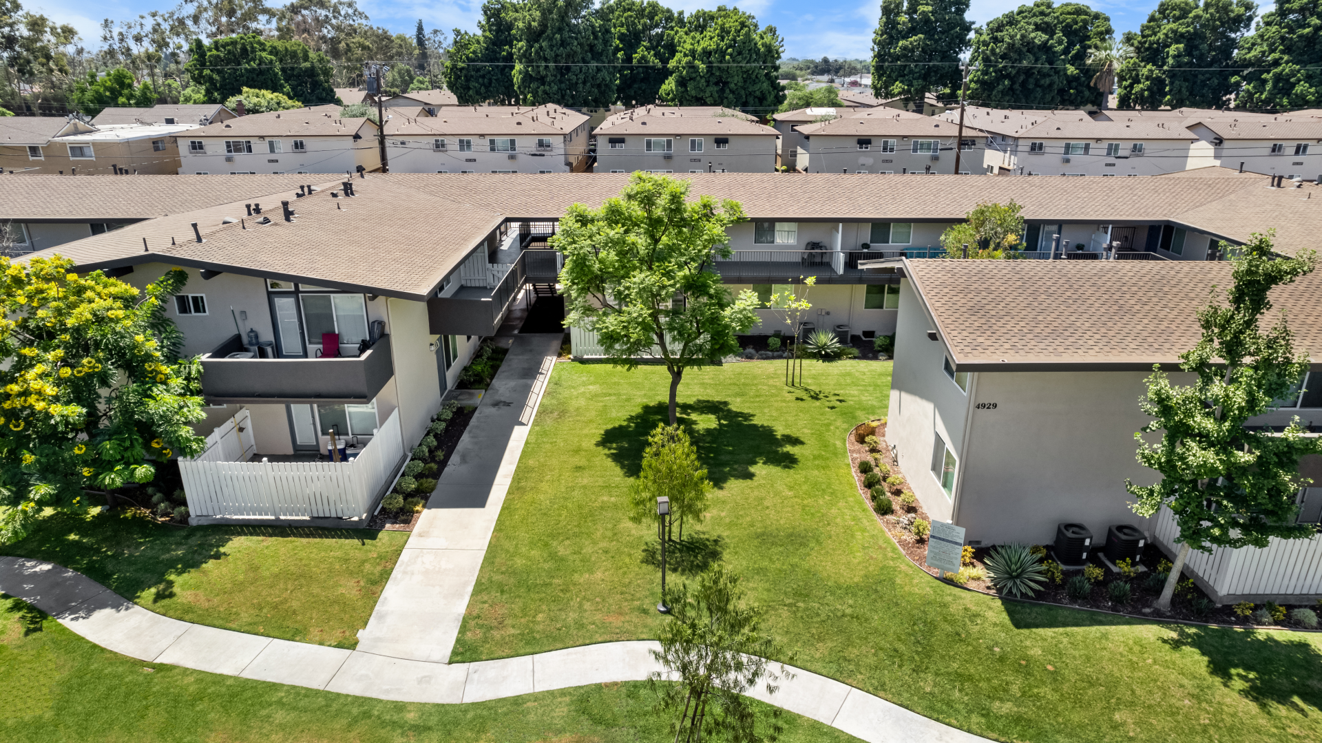 building exteriors and tree from above