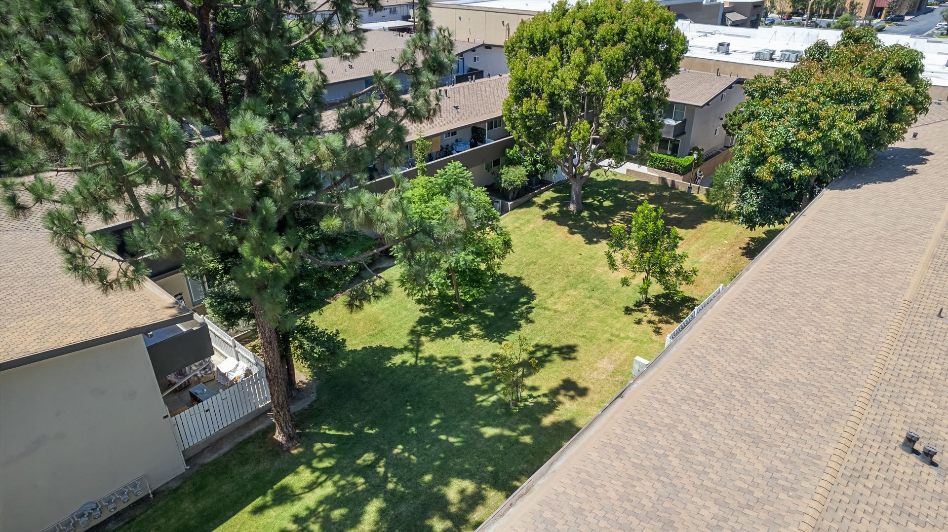 grass field from above