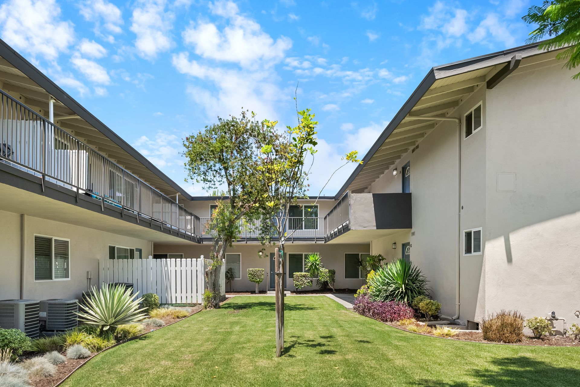 grass field with tree