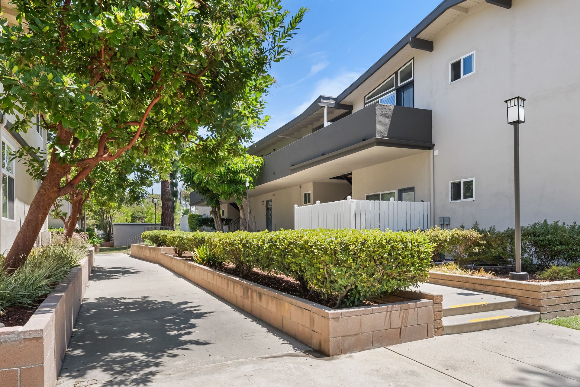 hedge and walkway to fenced patio