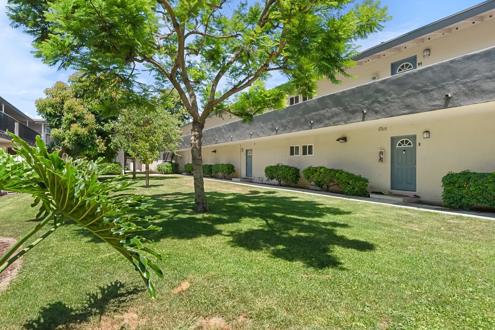 grass field, tree, and building exterior