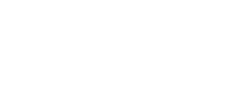 Logo - Tropical Executive