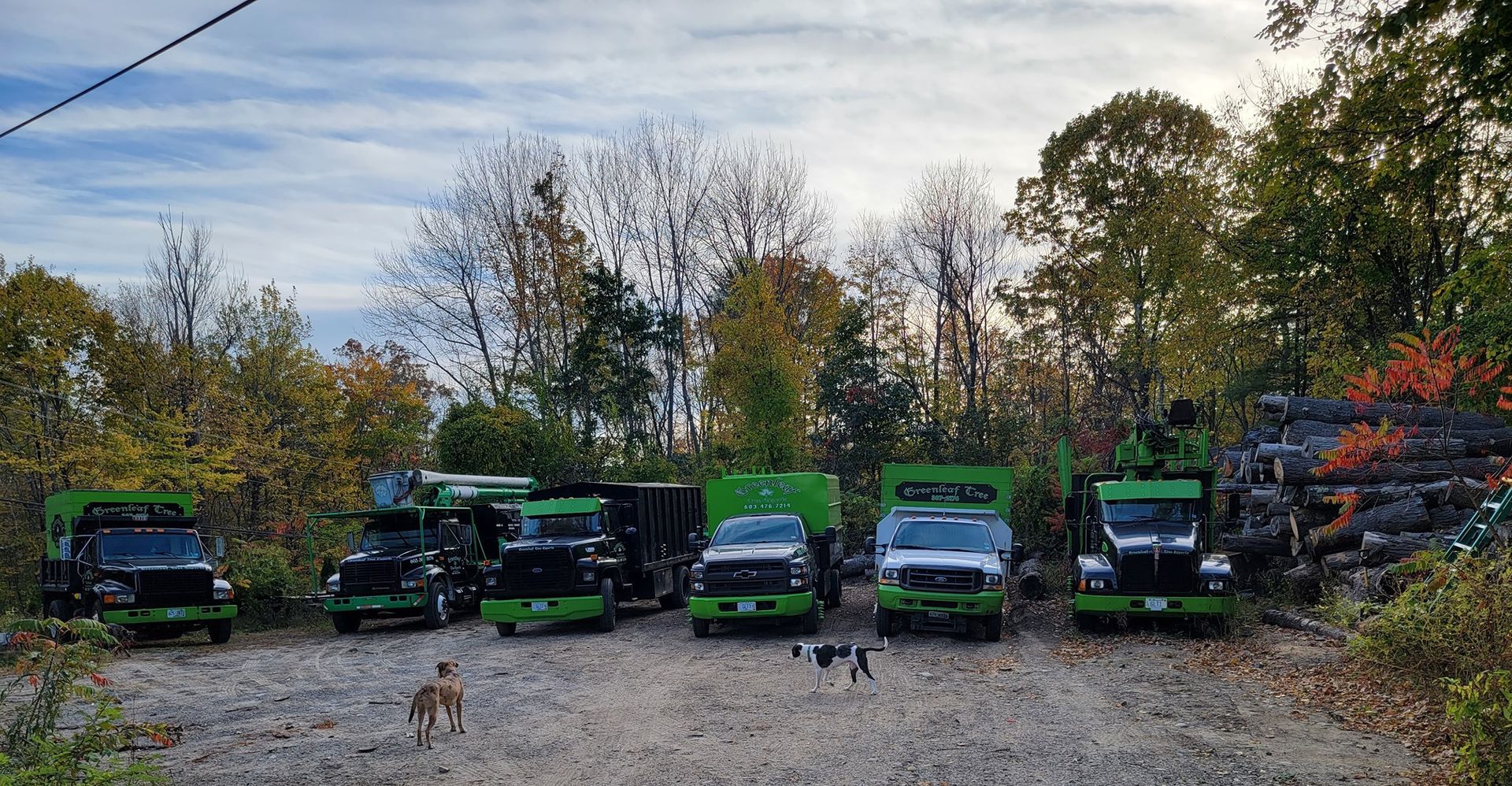 A row of green trucks are parked in a gravel lot.