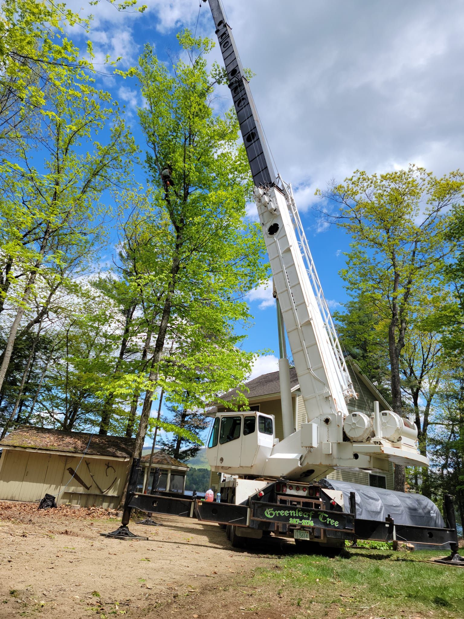 A large white crane is sitting on top of a dirt field surrounded by trees.