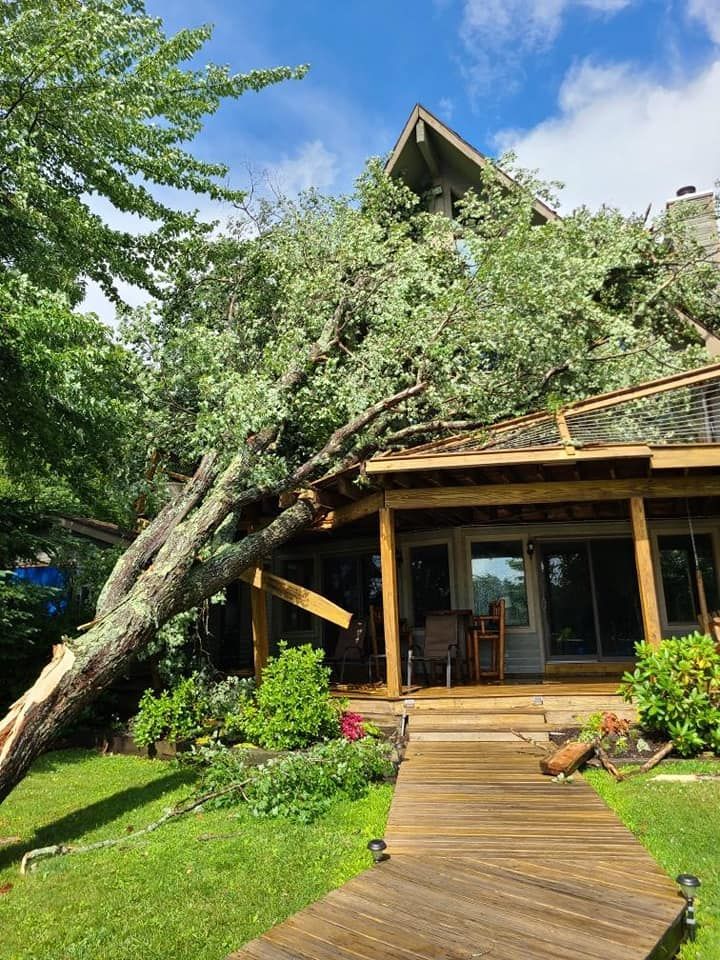 A large tree has fallen on top of a house.