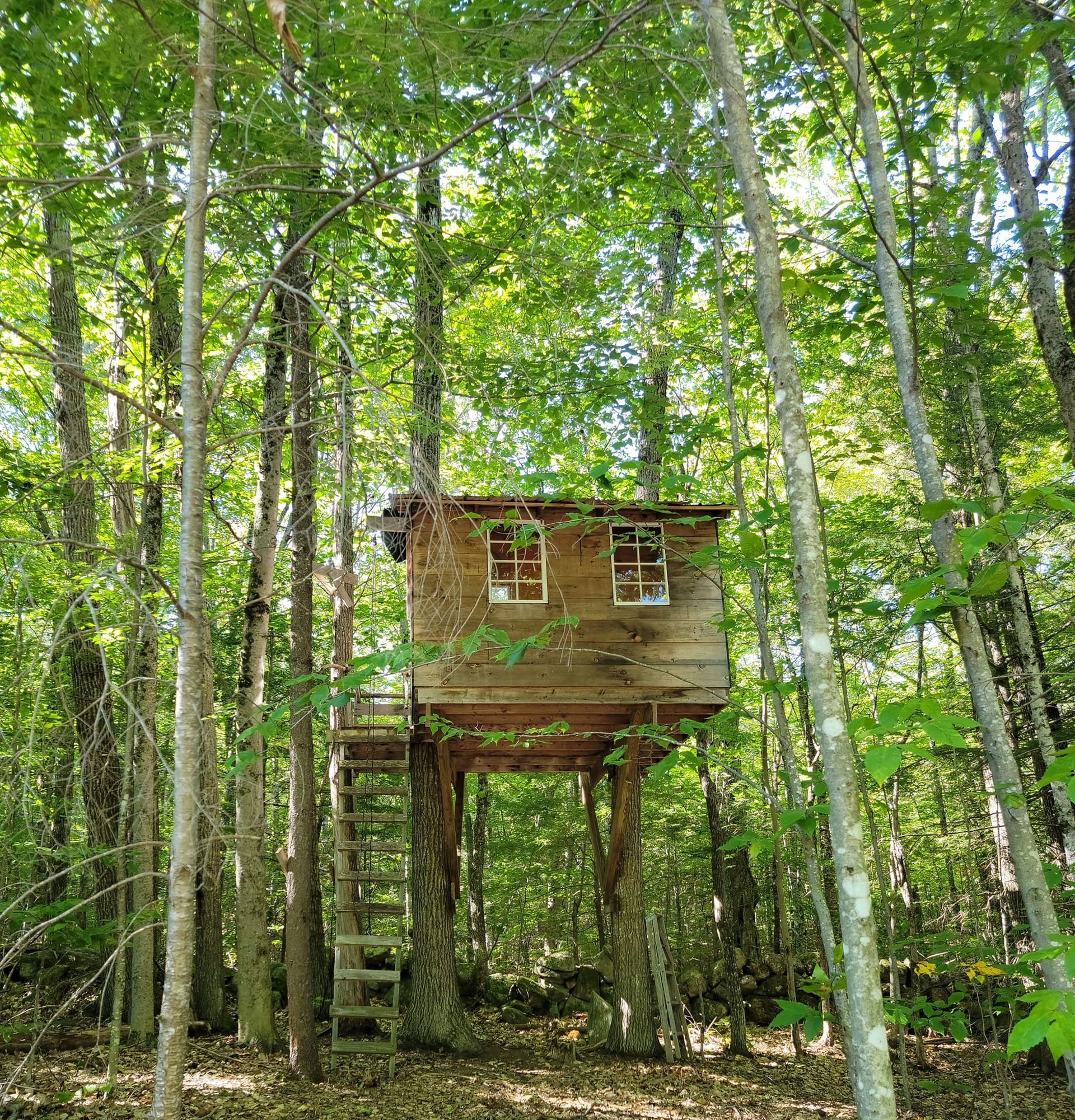 There is a tree house in the middle of the woods.