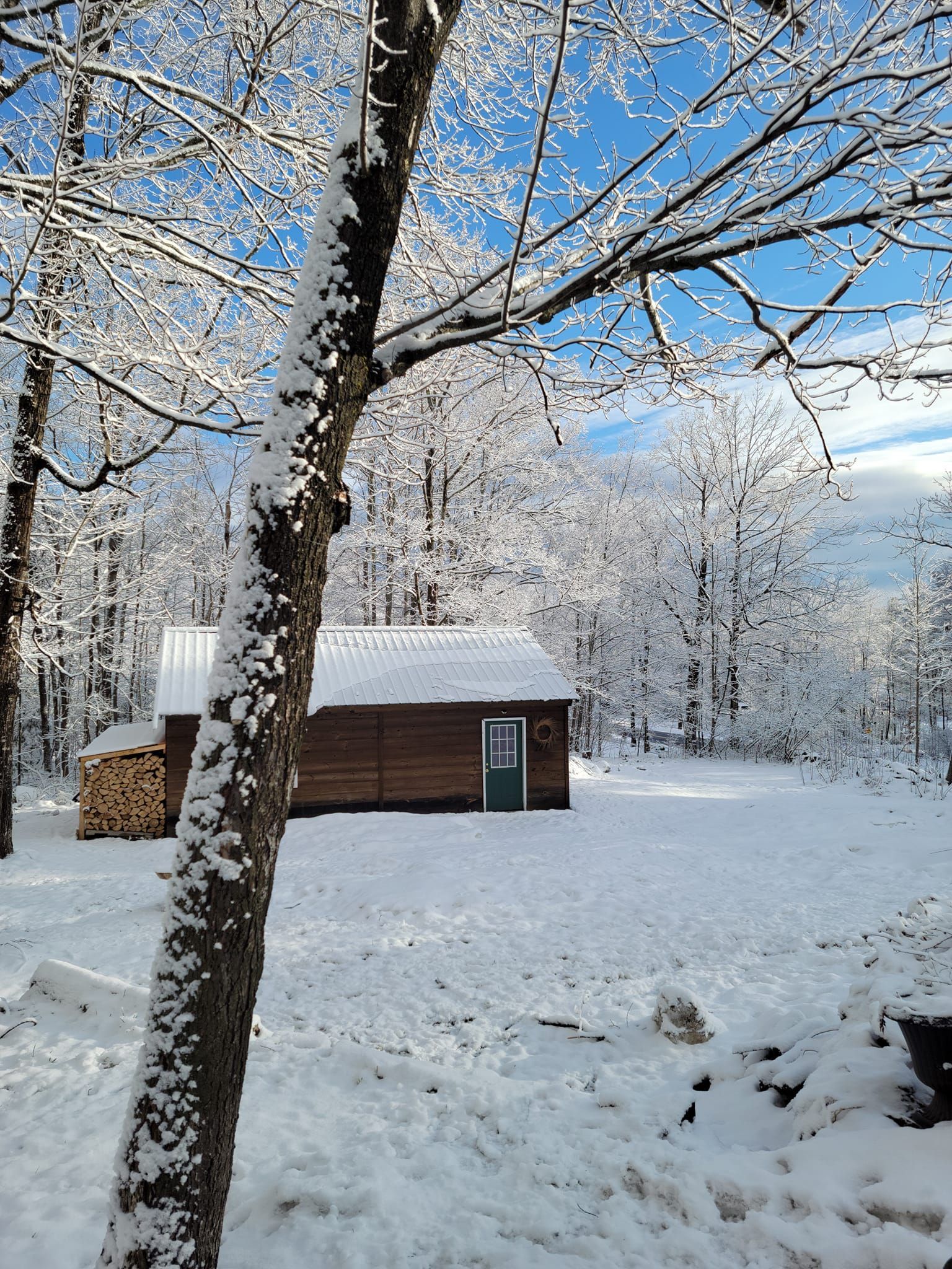 A small wooden house is surrounded by snow covered trees.