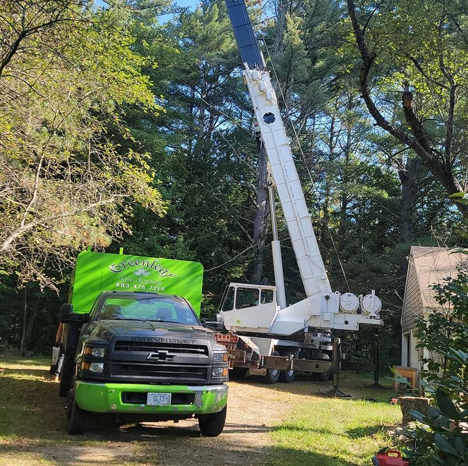 A green truck is parked next to a white crane.