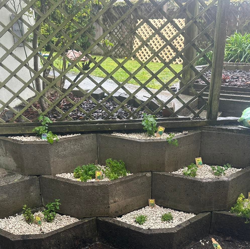 A garden with lots of potted plants and a fence in the background