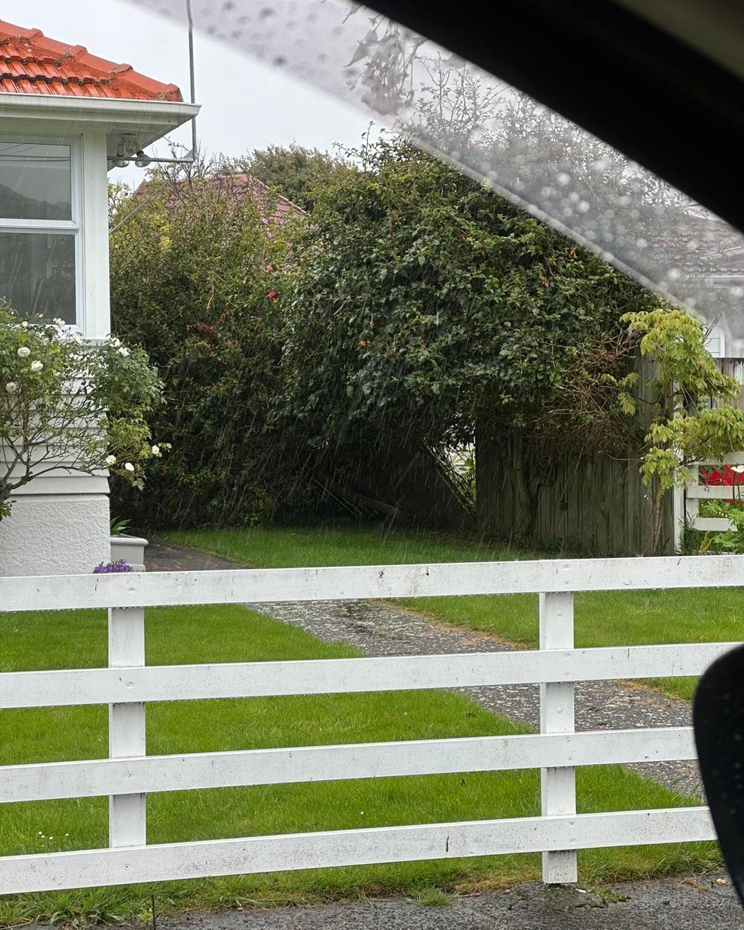 A white picket fence surrounds a lush green yard