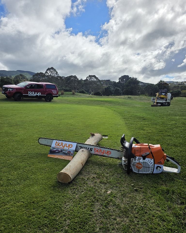 A chainsaw is sitting next to a log in a grassy field.