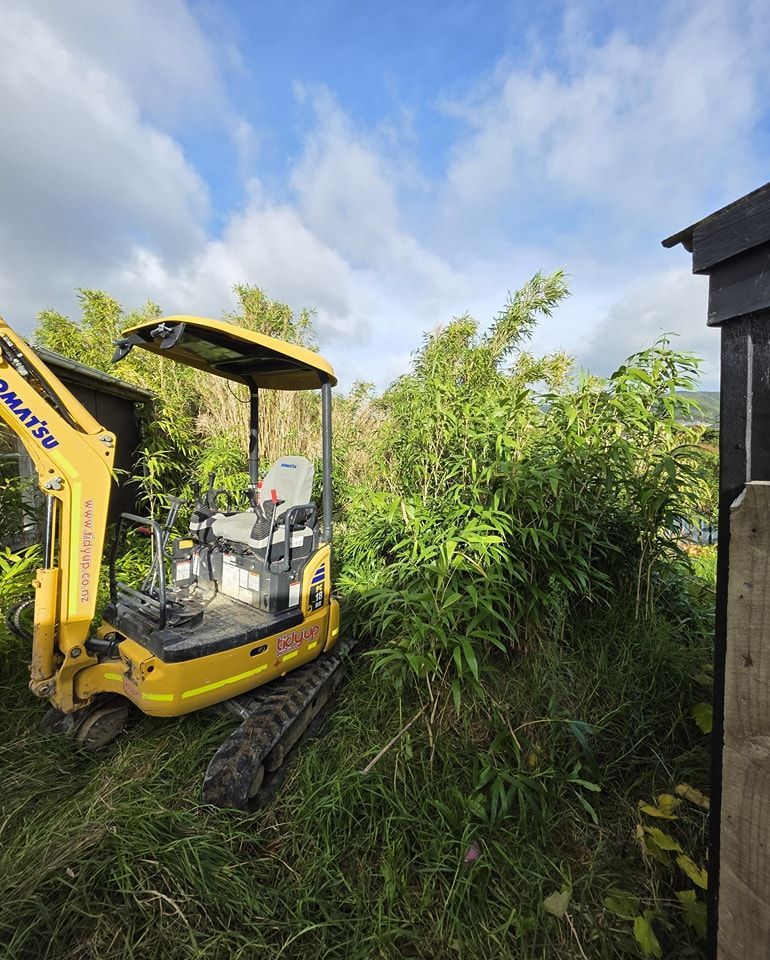 A yellow excavator is parked in the grass next to a shed.