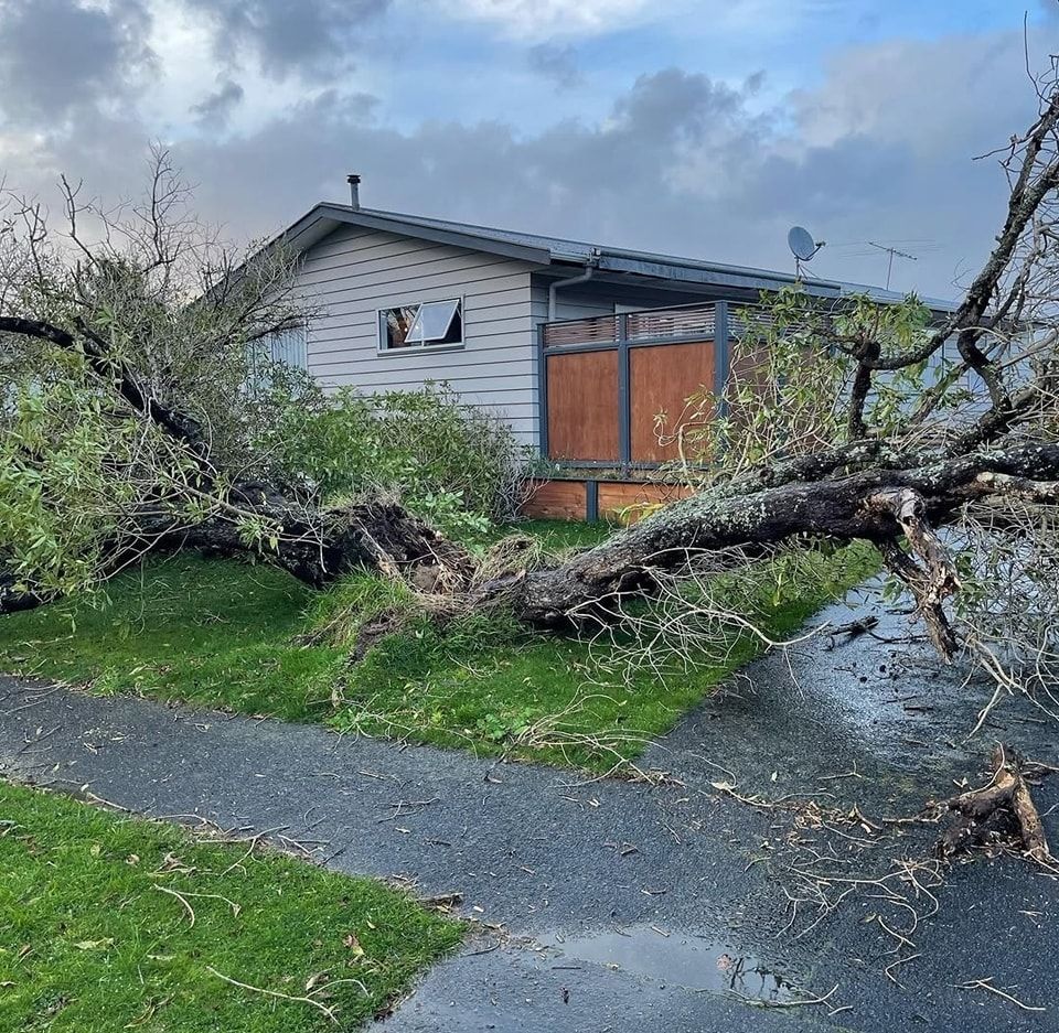 A house with a fallen tree in front of it