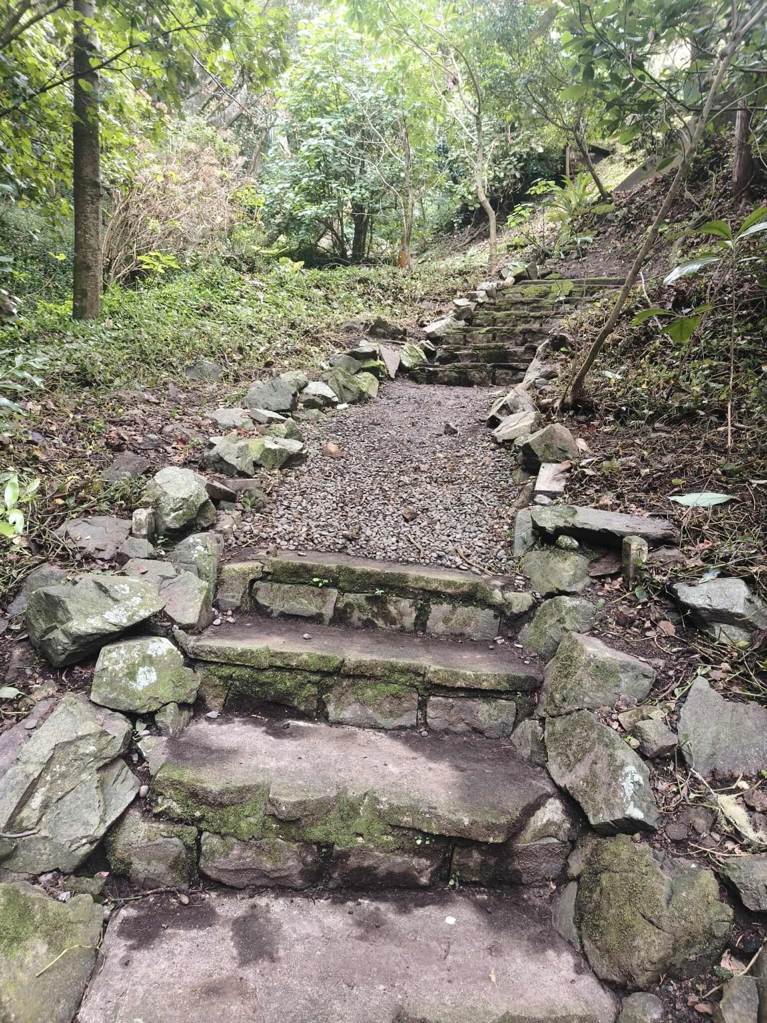 A stone path in the middle of a forest surrounded by trees and rocks.
