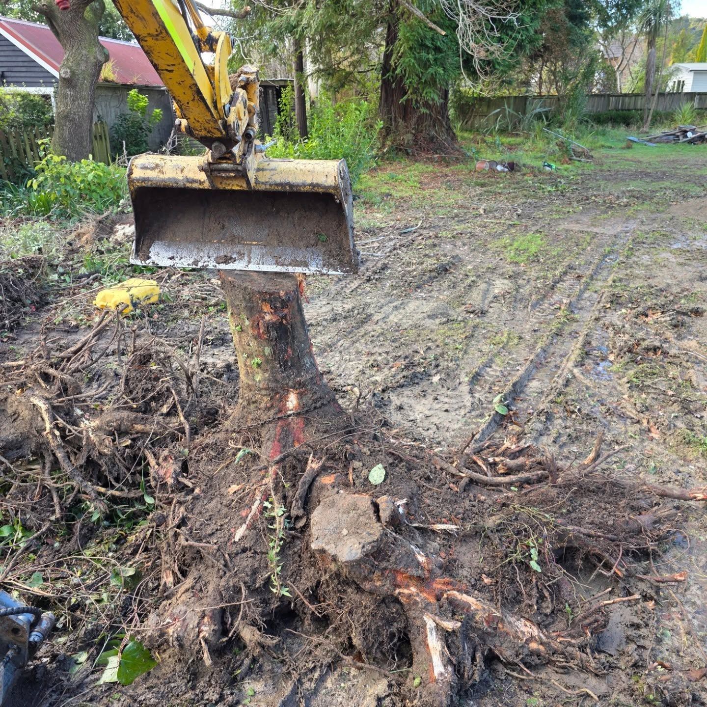 A bulldozer is moving a tree stump in the dirt.
